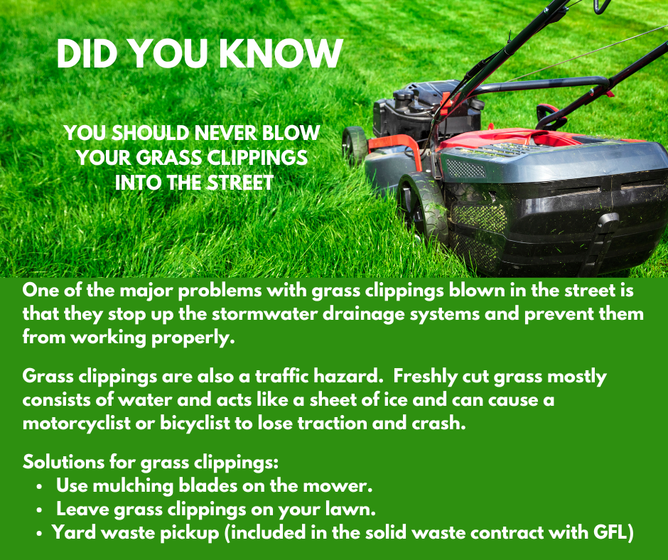 Grass Clippings